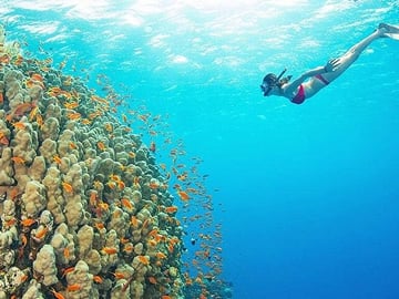 Ras Mohamed & White Island Luxury Yacht Trip from Sharm el Sheikh