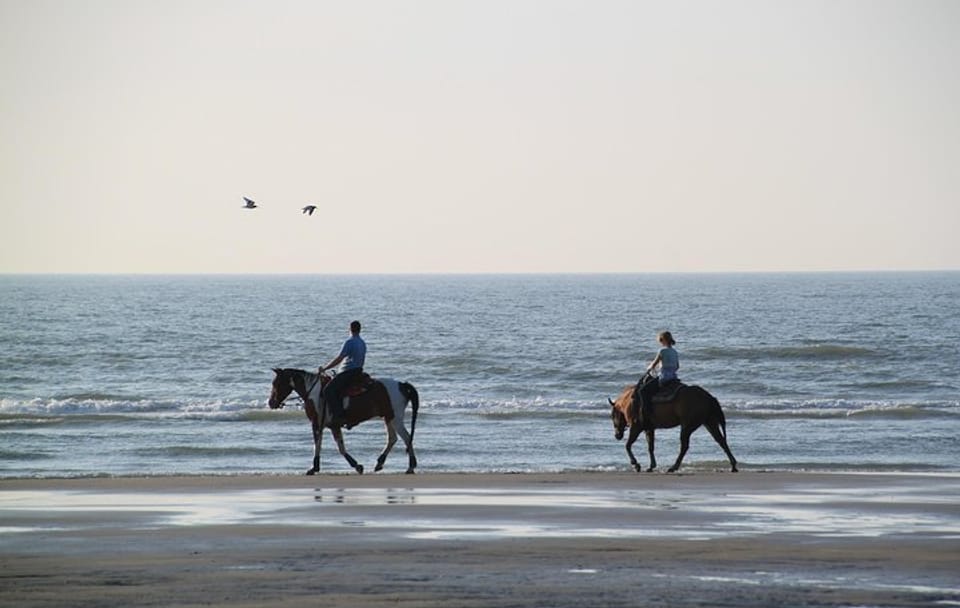 Horseback Riding Along the Beaches of Rhodes, Greece
