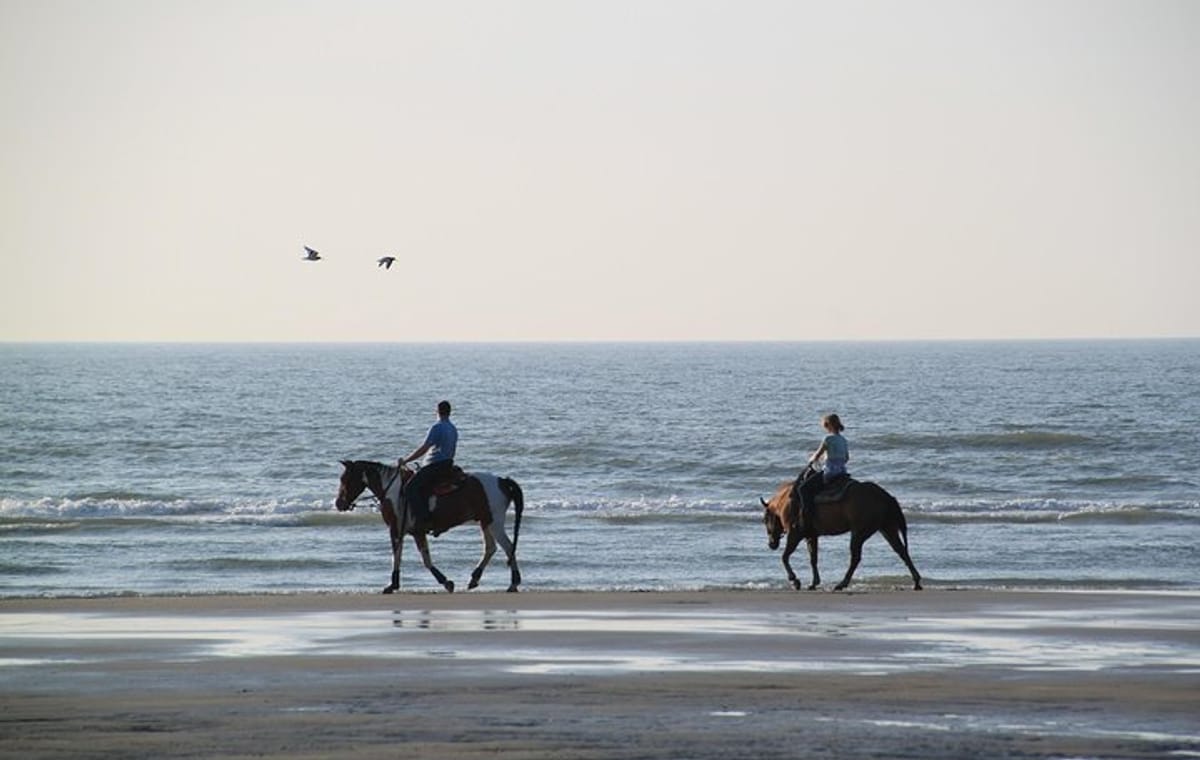 Horse riding on the Beach, Rhodes