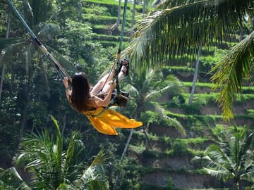 Ubud Highlights Day Tour
