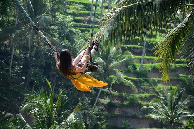 Ubud Highlights Day Tour