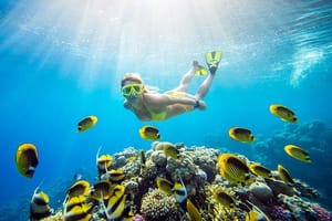 Tiran Island Full Day Snorkeling & Intro dive - Sharm El Sheikh