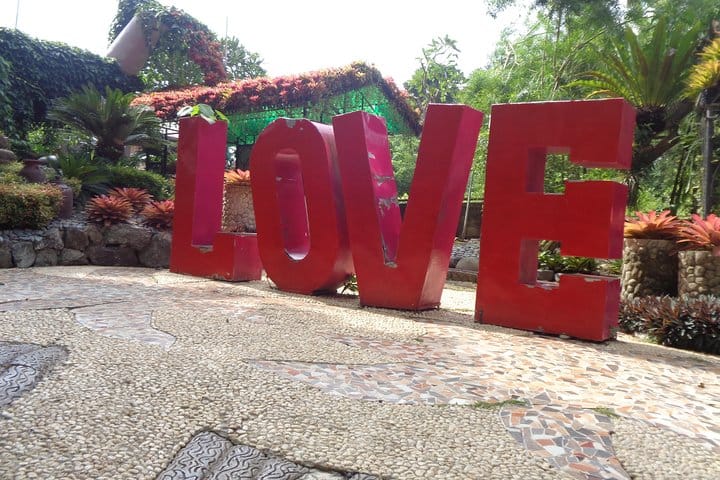 garden area bakers hill