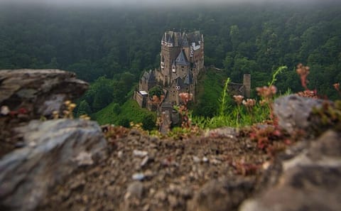 Private Tour of Eltz Castle from Koblenz with Transport