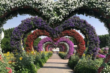 Pass Ticket to Miracle Garden from Dubai
