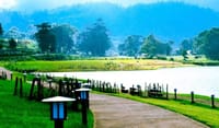 CEYLON CLASSIC TOUR - 6N/7D 5
