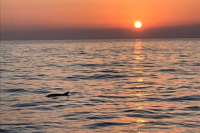 Sunset and dolphin excursion Pula - ship Ulika 6