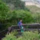Da Nang: Linh ng Pagoda, Marble Mountains & Hoi An Tour