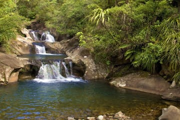 Two-Day Guided Tour of Coromandel Peninsula, New Zealand
