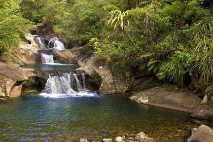 The most comprehensive all-inclusive Coromandel Peninsula tour over two days