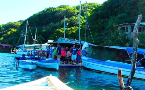 Mangrove Tunnel Snorkeling Tour in José Santos Guardiola