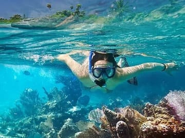 Snorkeling Adventure at Coral Reefs in Colombo, Sri Lanka