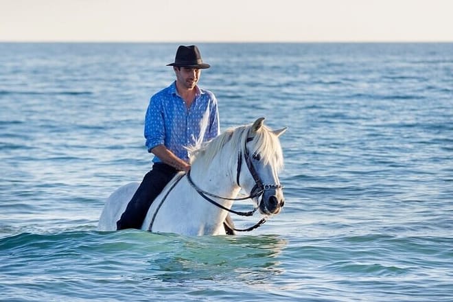 Horse Riding Tour Two Hours Sun &amp; Sea With Transfer - Hurghada