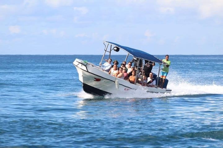 5 tours in 1 (Eco Farm/Horseback/City Tour/Buggy/Zipline)