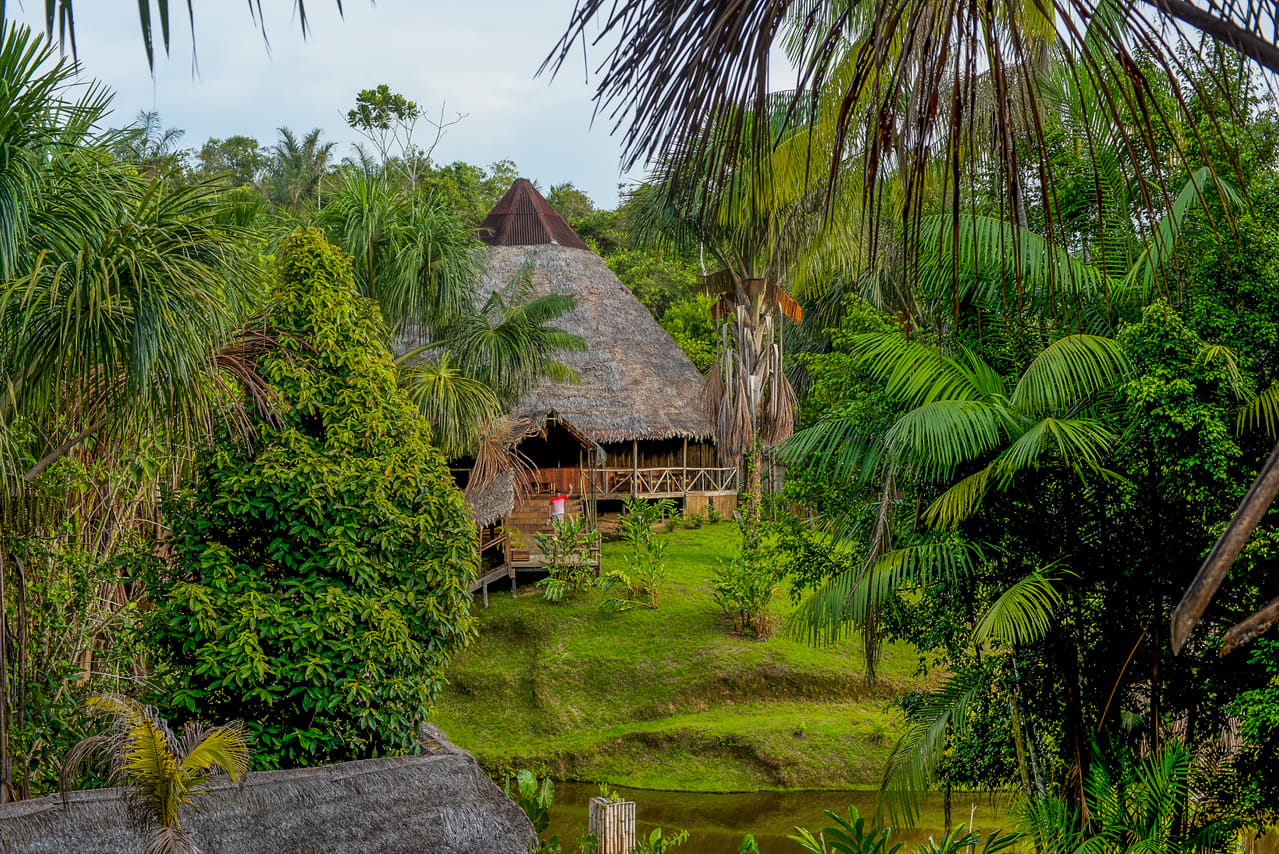 4 Day Trip To Pacaya Samiria In Iquitos 7