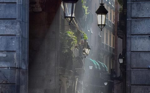 Guided Walking Tour of Barcelona's Gothic Quarter and Cathedral