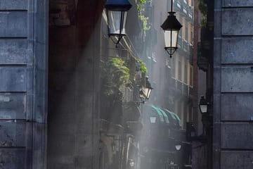 Guided Walking Tour of Barcelona's Gothic Quarter and Cathedral