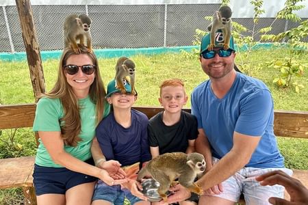 Damajagua Waterfalls and Monkey Private Van Tour