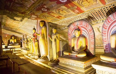 From Colombo: Sigiriya, Dambulla & Safari Day Trip