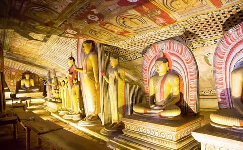 Colombo Day Trip to Sigiriya, Dambulla, and Habarana Safari