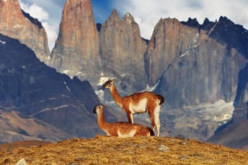 4-Day Trekking Experience at Torres del Paine from Puerto Natales