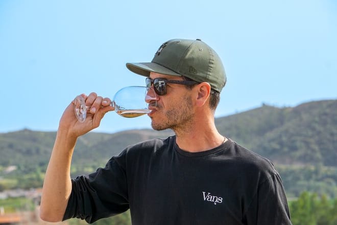 Albufeira Wine Tasting: Boutique Winery Tour & Historic Silves 10
