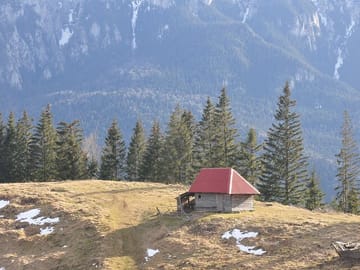 Old sheep farm