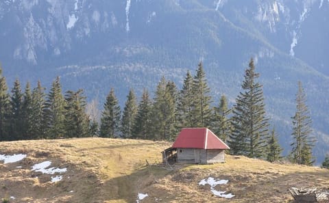 Private Hiking and Photography Tour in Brașov and Zarnesti