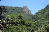 Tijuca Forest, one of the 4 wonders of Rio de Janeiro