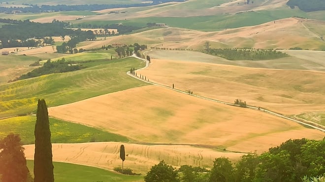 Val d'Orcia Region Private Wine Tasting Tour - Photo 4