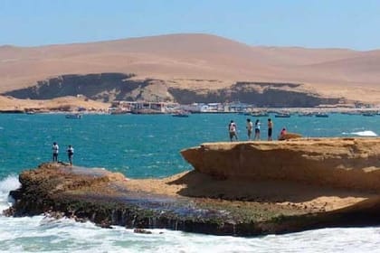 Paracas National Reserve Half Day Tour
