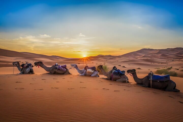 Marrakech to Fez via Merzouga Desert 3-Days MARZOUGA TO FEZ