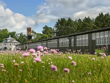 Private 5-Hour Tour of Sachsenhausen Memorial from Berlin