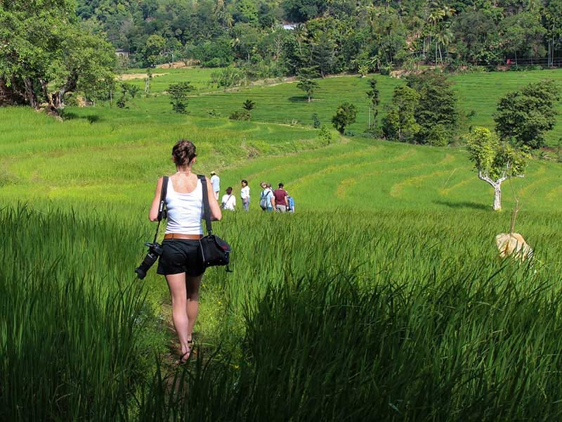 Sri Lankan Traditional Foods & Cultural Tour 9