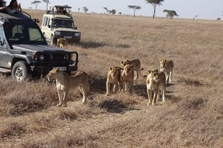 3 days group joining safari to Maasai Mara with a Land Cruiser Jeep