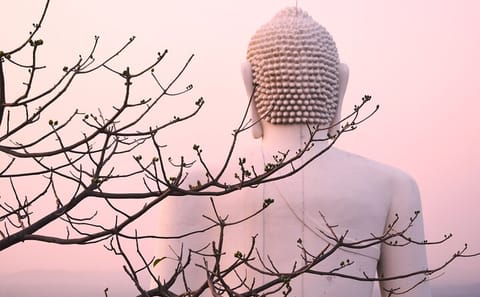 Athugala and Silver Temple Day Tour from Dambulla