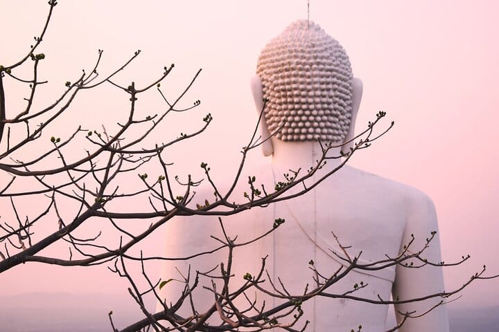 Athugala and silver Temple Tour from Dambulla 3
