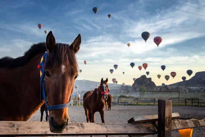 Two Days Tour to Cappadocia with HB Hotel & Transfer from Kemer 10