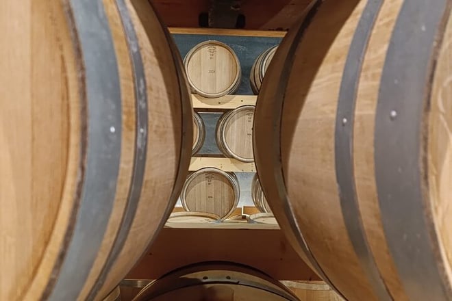 2 Day Ribera del Duero Private Wine Tour from Madrid - Photo 1