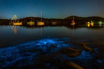 Bioluminescence Kayak Tour at Waiake Beach in Auckland