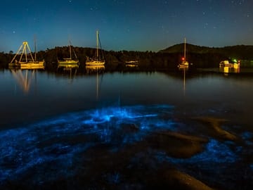 Bioluminescence Kayak Tour at Waiake Beach in Auckland