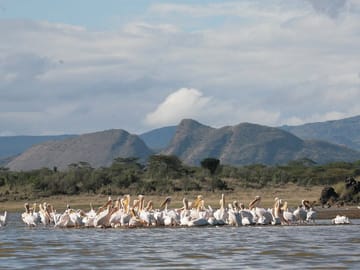 OVERNIGHT SAFARI TO LAKE ELEMENTAITA, SOYSAMBU AND KARIANDUSI PRE-HISTORIC