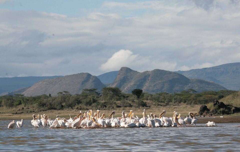 OVERNIGHT SAFARI TO LAKE ELEMENTAITA, SOYSAMBU AND KARIANDUSI PRE-HISTORIC