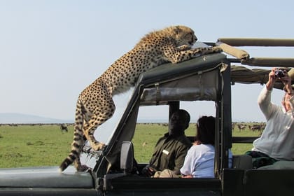5Days Highlight of Kenya’s Wildlife Sceneries and Culture