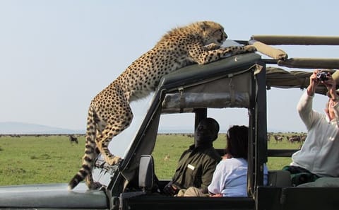 5-Day Wildlife and Cultural Adventure in Kenya