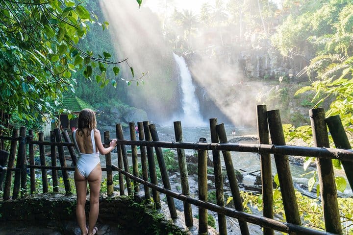 Best of Ubud Attractions: Private All-Inclusive Tour