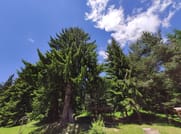 2 Day Private Adventure Tour in Vitosha mountain from Sofia 2