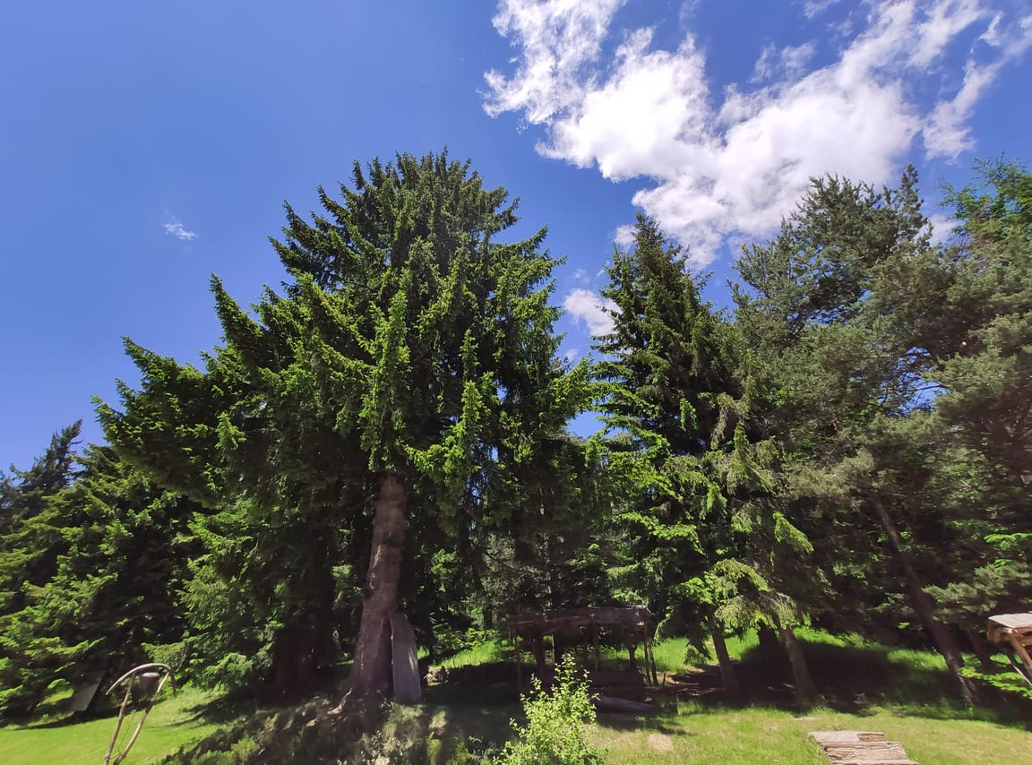 2 Day Private Adventure Tour in Vitosha mountain from Sofia 2