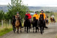 02B - The Siggi Tour 1