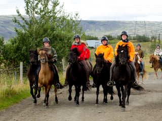 02B - The Siggi Tour, photo 6